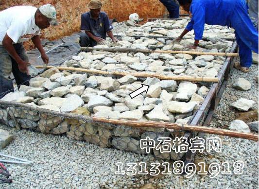 zsshilong150.jpg zsshilong150.jpg